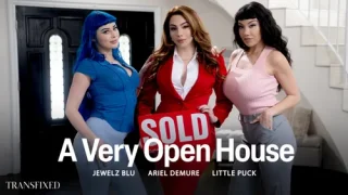 TransFixed: A Very Open House – Jewelz Blu, Ariel Demure & Little Puck